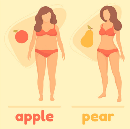طرق تحويل الجسم من تفاحة إلى كمثرى